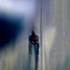 Avatar for antonrp