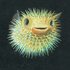 wepper 的头像