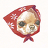 Avatar for xiapwa