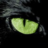 Avatar for ShadOvFF