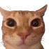 piconeta3000 için avatar