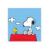 mr_snoopy 的头像