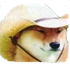IdiotaStarosta さんのアバター