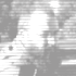 Avatar for nh_adira