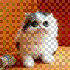 Avatar for nomori92
