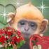 Avatar for sufjanstevensss