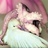 Avatar de crim709