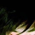 Avatar für Dismal_girl