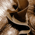 Avatar for Miscelauneous