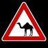 Avatar di Slowdeath13