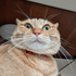 Avatar for The_Barr