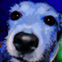 Avatar for natillasdequeso