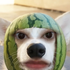 Avatar for giiissellle