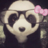 Avatar for Dy4ntha