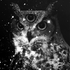 Avatar de ladydarksadness