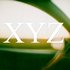 X¥Z 的头像