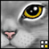 Avatar di Temikus
