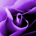 Avatar for SigridvG