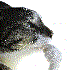 Avatar for MinndlessSun