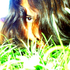 Avatar for TatiriKilapilla