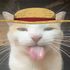 Avatar de benthetacoman