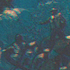 Avatar for InviteTheWalls