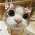 Avatar di ananyauwuu