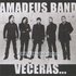 Amadeus bend のアバター