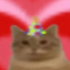pumkin_boye 的头像