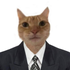 Аватар для conditionercat
