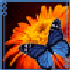 Avatar for martisunshine