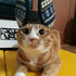 sunshinelix さんのアバター