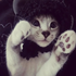 Avatar for rsokawaii