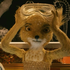 Avatar de insektoz