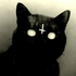 Avatar for faarsiiz