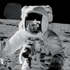 Avatar di space-tater