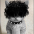 Avatar for roger_mourning