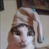 Avatar für AliceBeach13