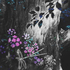 Avatar for Malfunctionnn