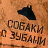Аватар для kudryashov