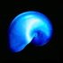 Avatar for josefernando_r