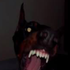 Avatar for ward0gs
