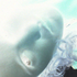 Avatar for plankton3