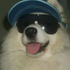 Avatar for FenixZs