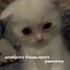 Avatar for b00bieloobie