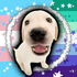 Avatar for MewkuMiku