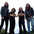 Rattlehead 的头像