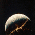 Avatar for desol8planet