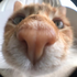 Avatar for StoopidTuna
