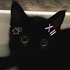 Avatar di tookewl_ollie